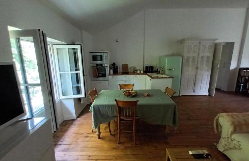 Bazas Bed & Breakfast | Villa Séquoia - Suite familiale - 4 adules 1 enfant - SDB privée