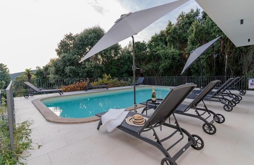 Molunat House | Villa s velikim vrtom i bazenom