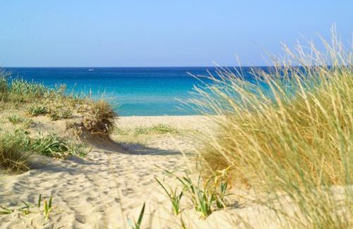 Il Monte Villa | VILLA S. VENARDIA GALLIPOLI