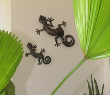 Las Galeras Villa | Villa Salamandra