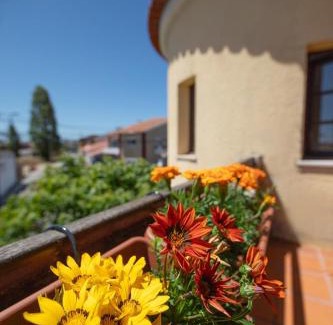 Ilhavo Villa | Villa Salgado