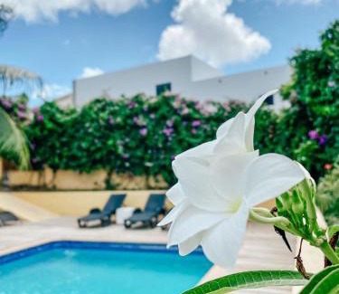 Willemstad House | Villa Sandemarie Curaçao