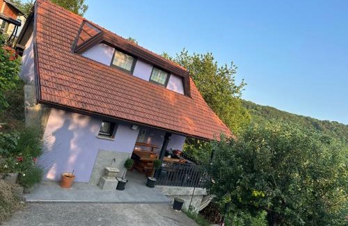 Samobor House | Villa Sandra