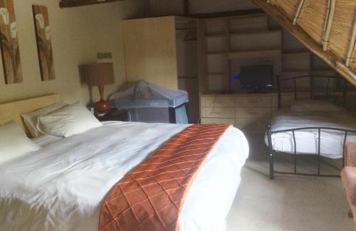 Greater Johannesburg Metropolitan Area House | Villa Schreiner Guest House