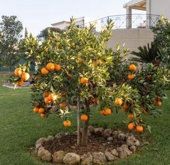 Gouvia Villa | VILLA SORELLINA