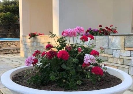 Skiathos Apartment | Villa Spartias