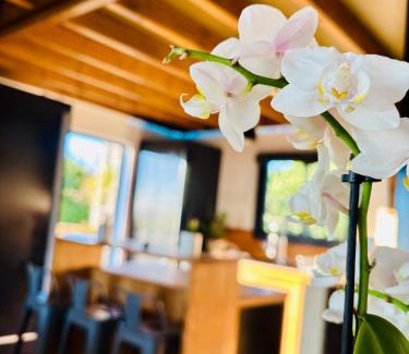La Plaine des Cafres House | Villa Tamara les hauts