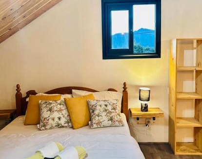La Plaine des Cafres House | Villa Tamara les hauts