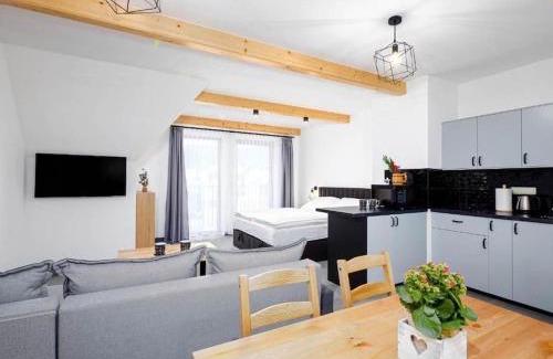 Male Ciche Apartment | Villa Taternik - 5 Bedrooms Apartment - Mountain View