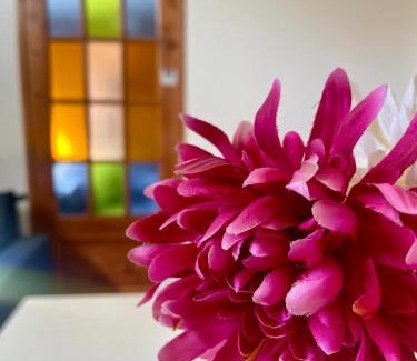 Alta Gracia Apartment | Villa Tequila - Casa Jalisco