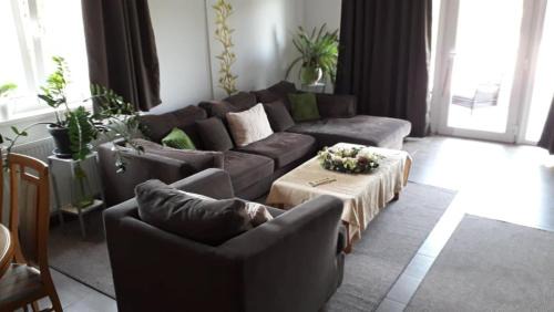 Eger House | Villa Terrasse