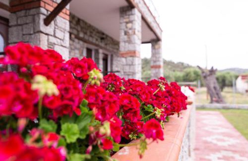 Sithonia Apartment | Villa Theano
