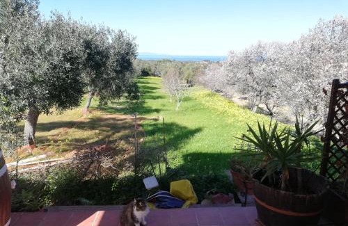 Sorso House | Villa Tirso - IUN S8237