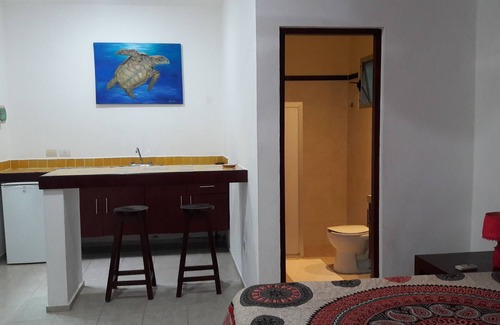 Akumal Hotel | Villa Tortugas