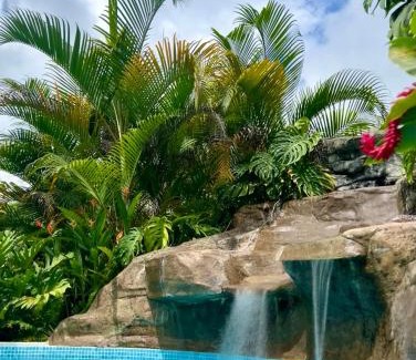 La Fortuna House | Villa Tucan