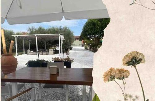 Piano di Mommio House | Villa Versilia-Mare e Monti