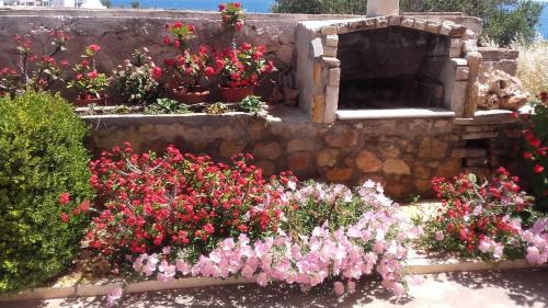 Makry Gialos Apartment | Villa Victoria