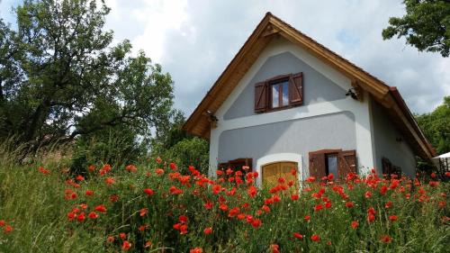 Balatonfured House | villa vita