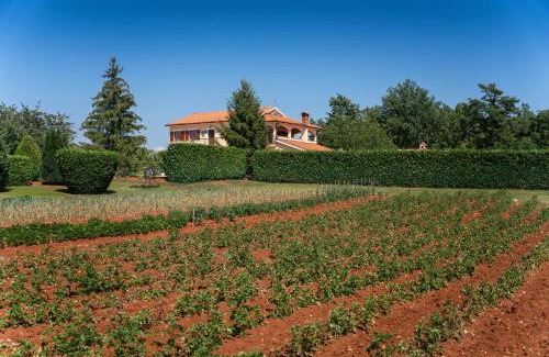 Visnjan Villa | Villa Vranići