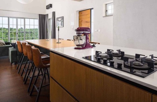 Momjan Villa | Villa with heated pool