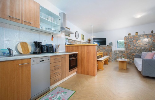 Brzac Villa | Villa with internet, washing machine and an outdoor pool