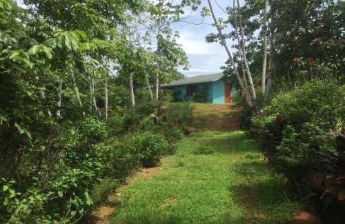 Drake Bay Cabin | Villa with primary forest view
