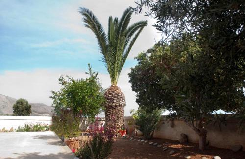 Pilalimata Apartment | Villa Xenia