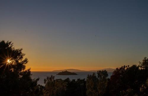 Punta Ala Villa | Villaflair - Villa Rotonda Punta Ala