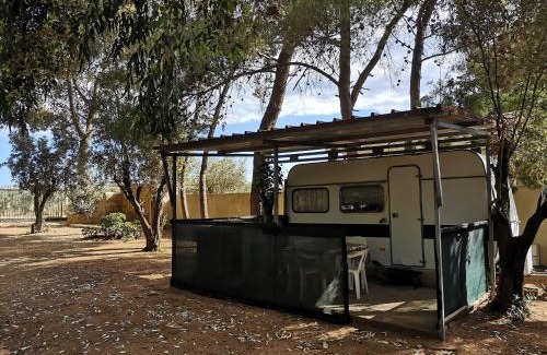Isola di Capo Rizzuto Other | Village Camping Fico D'India