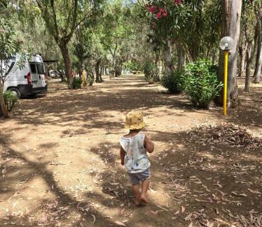 Isola di Capo Rizzuto Other | Village Camping Fico D'India