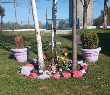 Niksic House | Village FLOWER IVY Montenegro