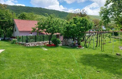 Niksic House | Village FLOWER IVY Montenegro