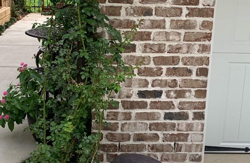 Davidson Apartment | Village Studio -Five minute walk to campus: 12 mins. to town
