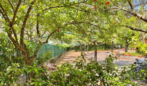 Marina Di Camerota Bed & Breakfast | Villaggio Alberghiero Da Pepé