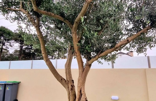 Canidelo Villa | VILLAS I