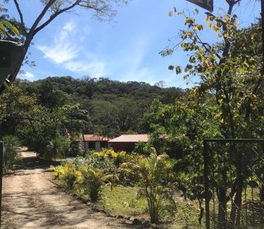 Samara House | Villas jungle 5