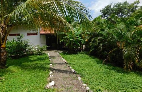Samara House | Villas jungle 5