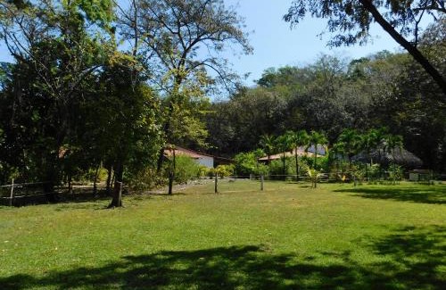 Samara House | Villas jungle 5