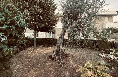Carpena House | Villetta a schiera per la tua famiglia