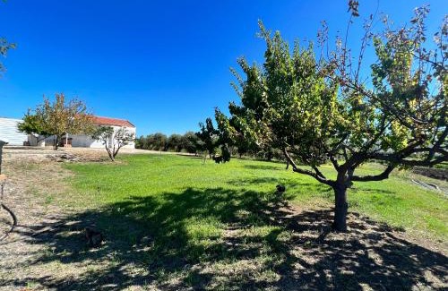 Nuova Cliternia Villa | Villino in Campagna con Piscina Relax - La Casa di Teresa