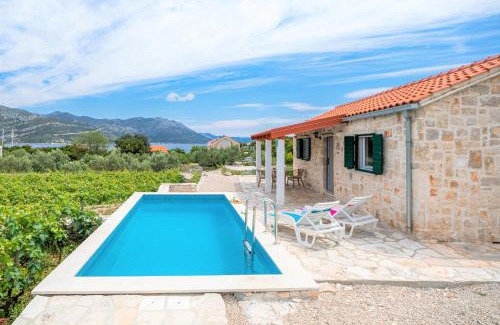 Kneza House | Vineyard House & Olive Grove House