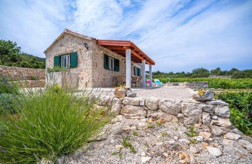 Kneza House | Vineyard House & Olive Grove House