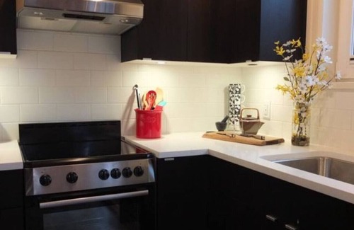 Grandview-Woodland Condo | Vineyard Vibes in the City, Trendy, Commercial Drive