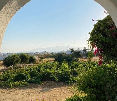 Agia Anna Apartment | Vino suites