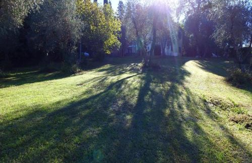 Ghizzano House | Vino, Views and Relaxing Stay