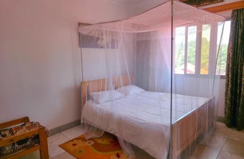 Mbale Hotel | Viola Hotel Limited