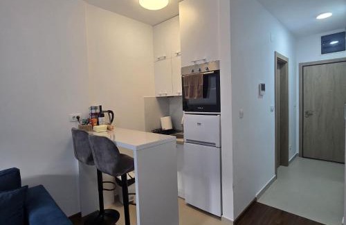 Podgorica Apartment | Violet Studio-Master Kvart