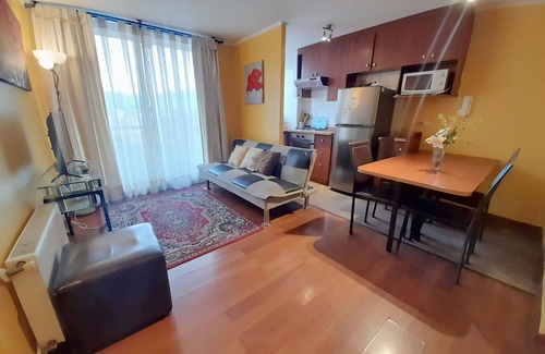 Downtown Santiago Apartment | VIP Apartments Chile