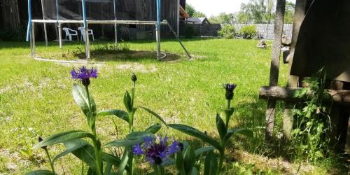 Weischlitz Other | VIP-Camping, zelten im Garten