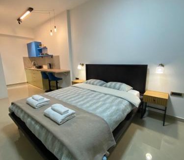 Valjevo Apartment | Viridian Three Accommodation, Studio 2